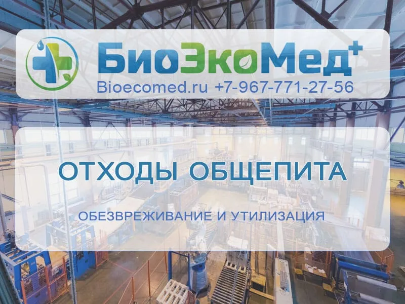 Отходы общепита